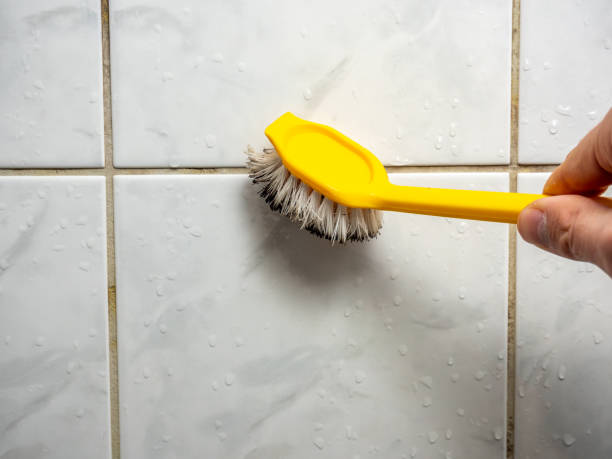 Best Certified Mold Removal  in Shawano, WI